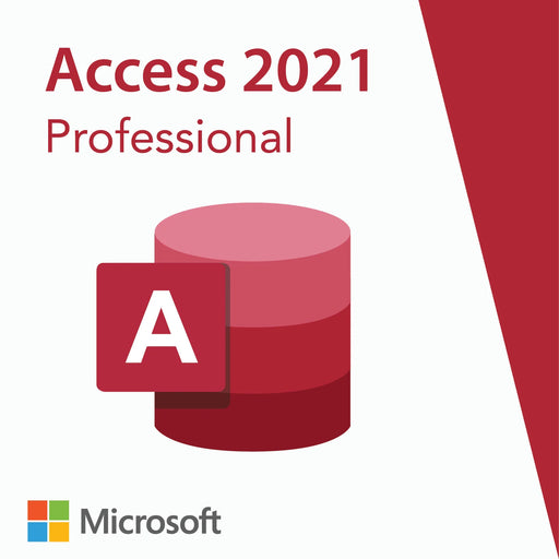  Microsoft Access 2021 Professional