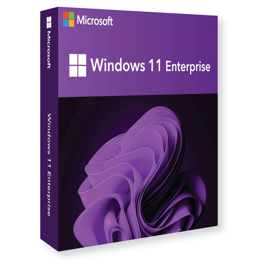Windows 11 Enterprise_1