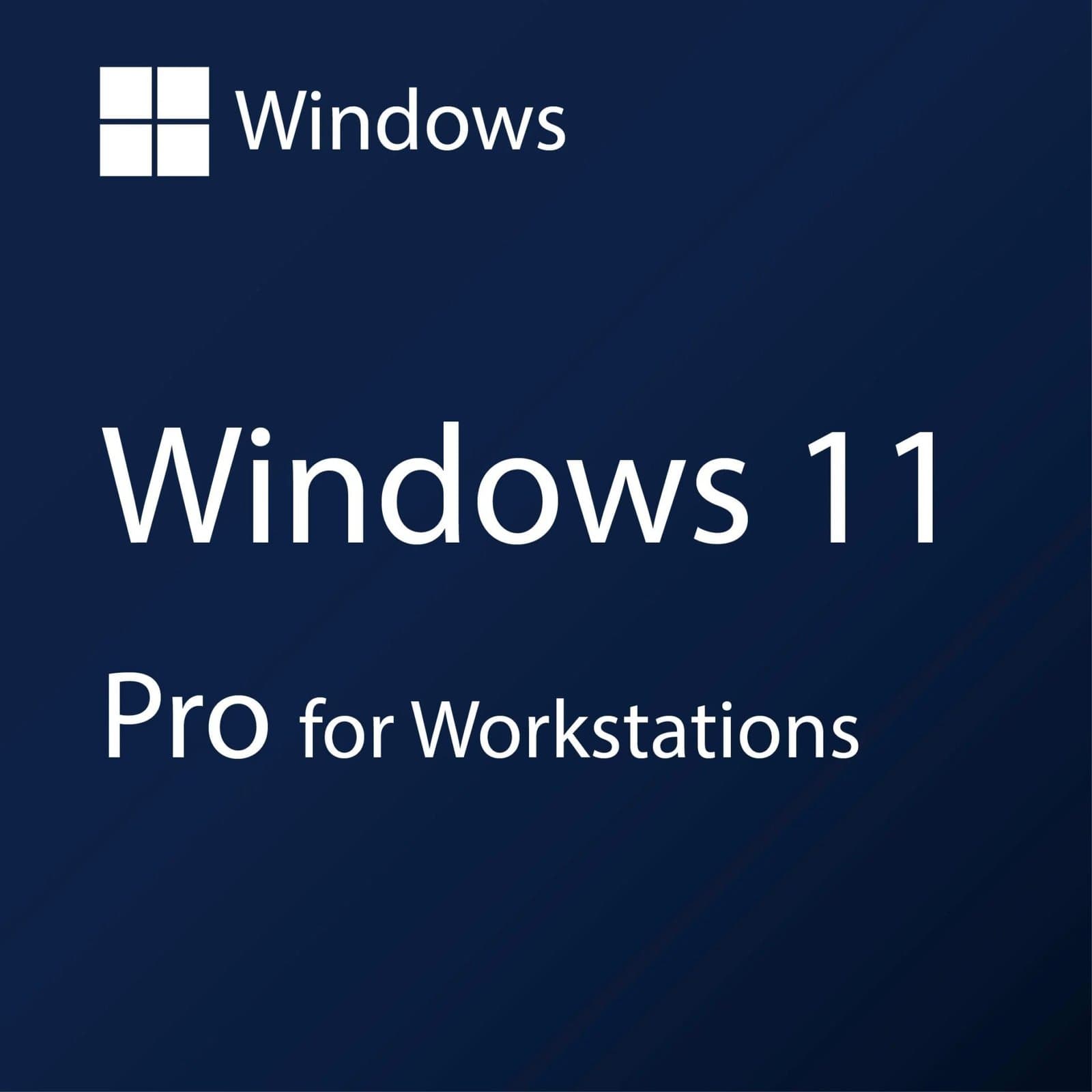 Microsoft Windows 11 Pro for Workstations - Lifetime License Key