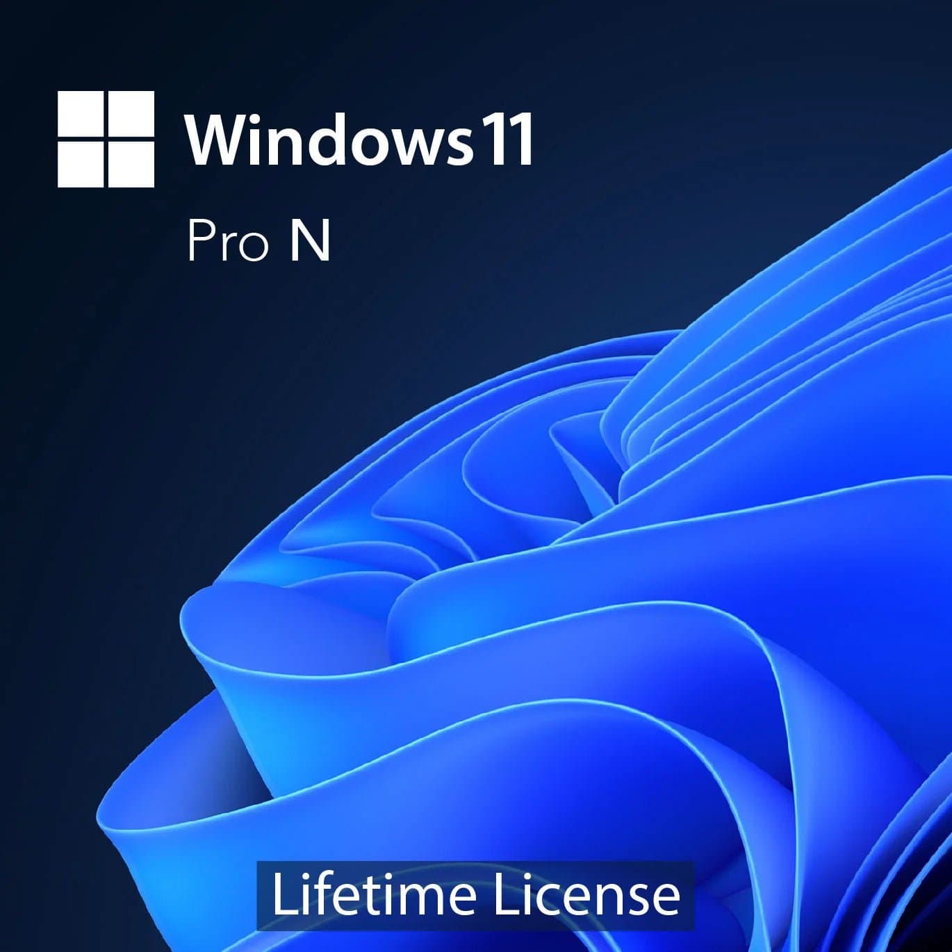 Microsoft Windows 11 PRO N 32/64 Bit - Lifetime License