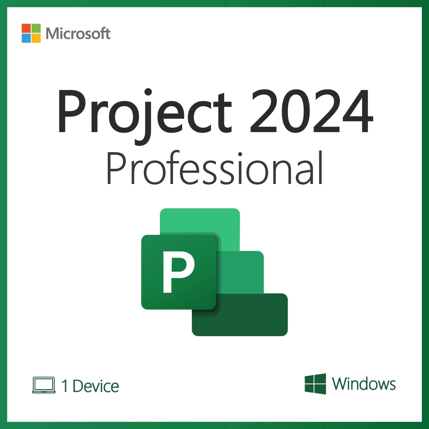 Microsoft Project 2024 Professional - License License