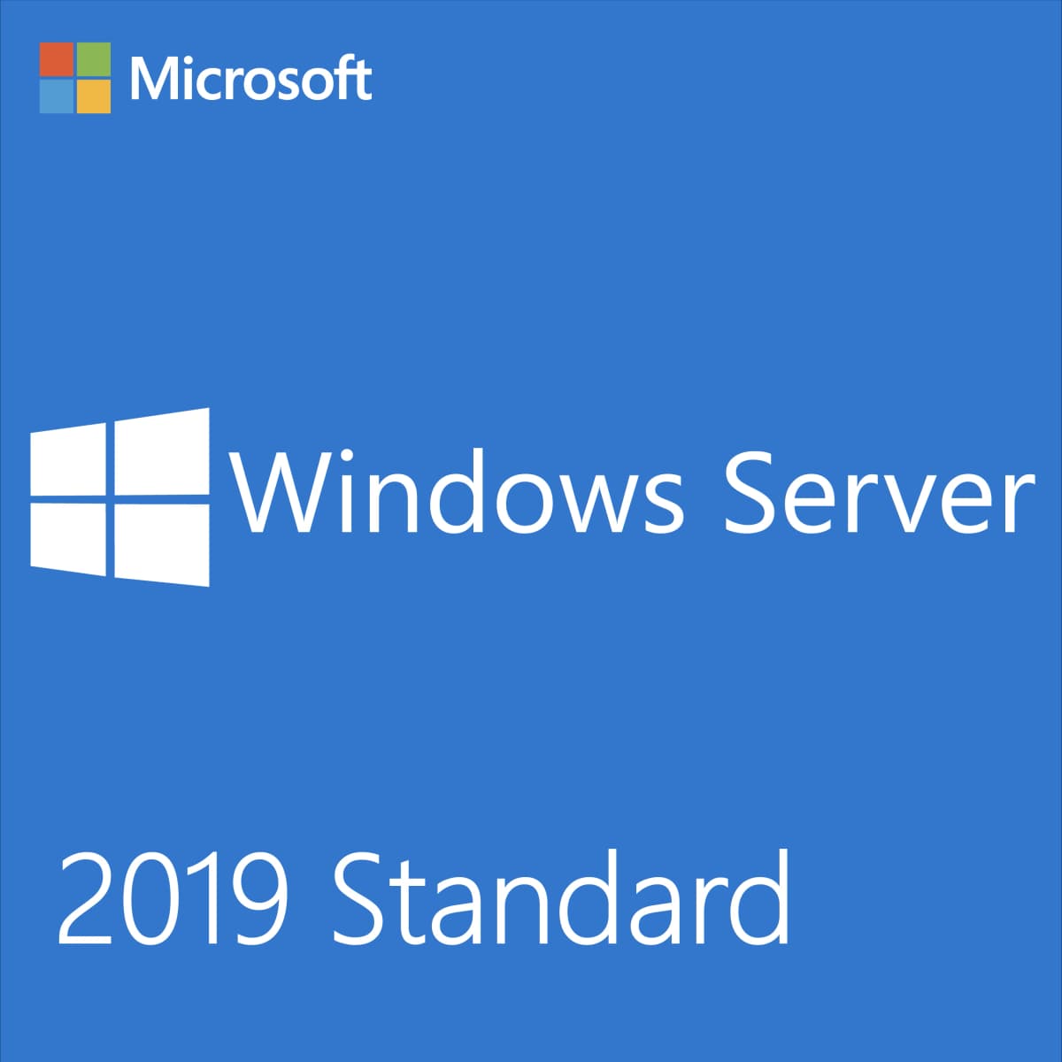 Microsoft Windows Server 2019 Standard - License key