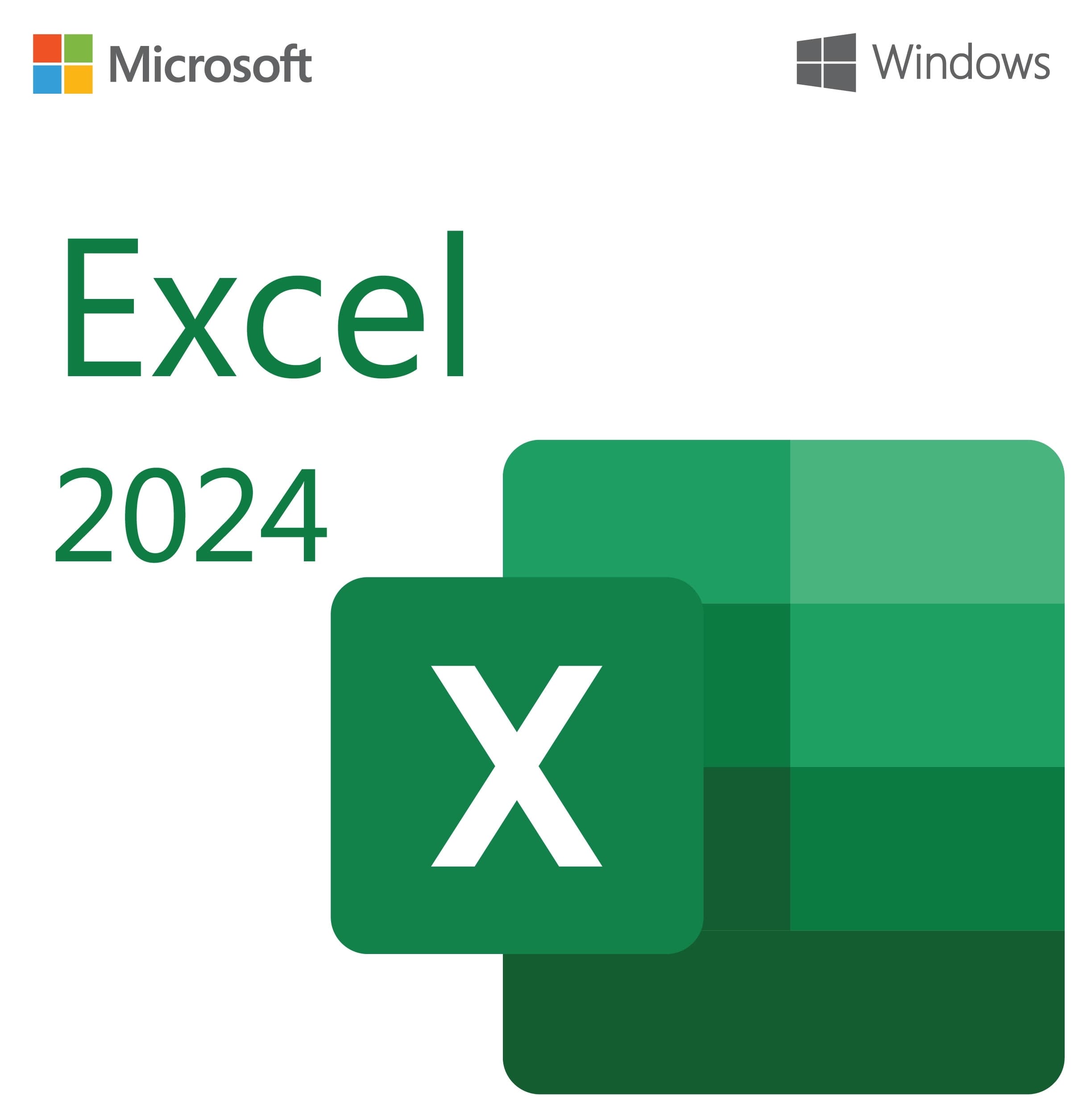 Microsoft Excel 2024 for Windows — Lifetime License 1PC