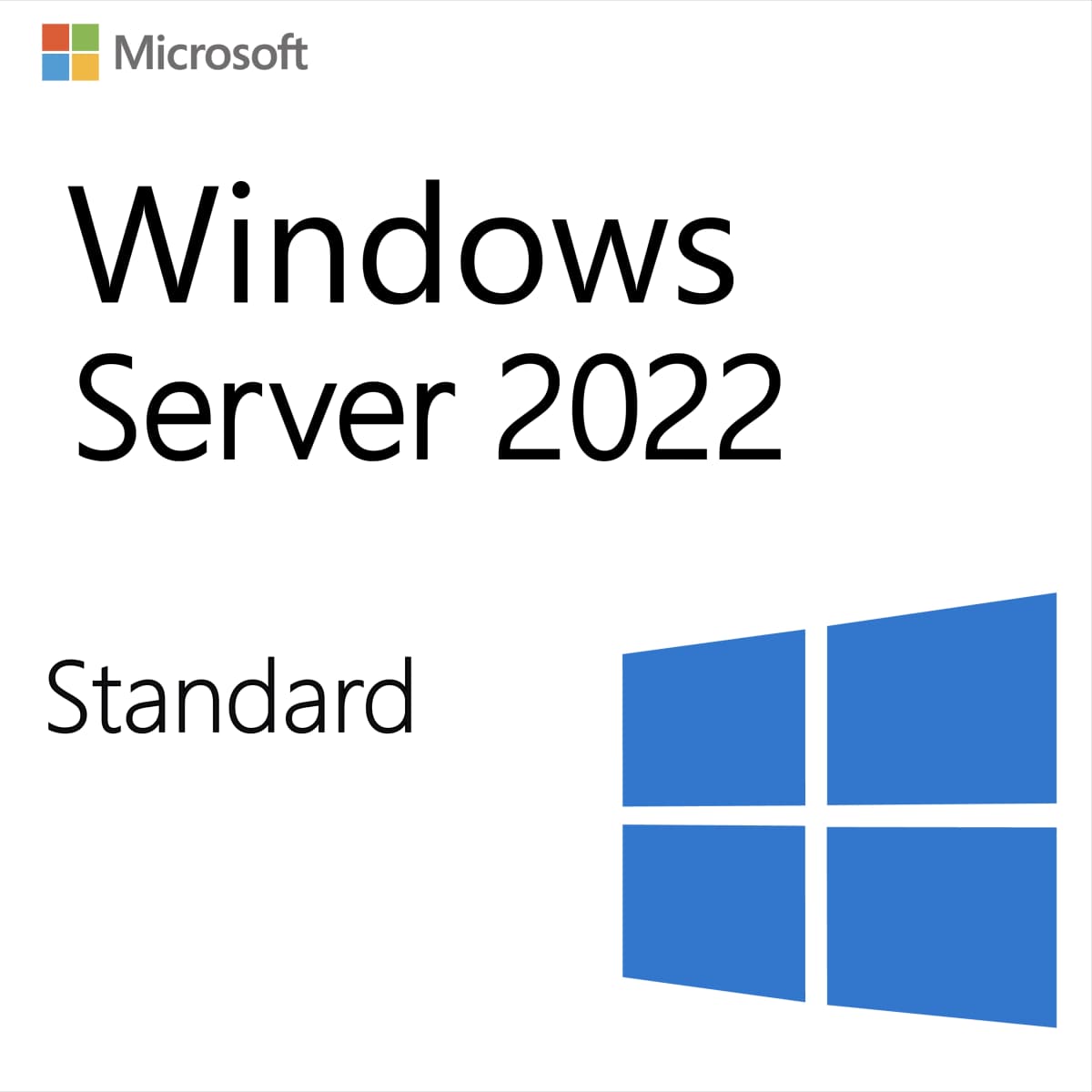 Windows Server 2022 Standard - Lifetime License