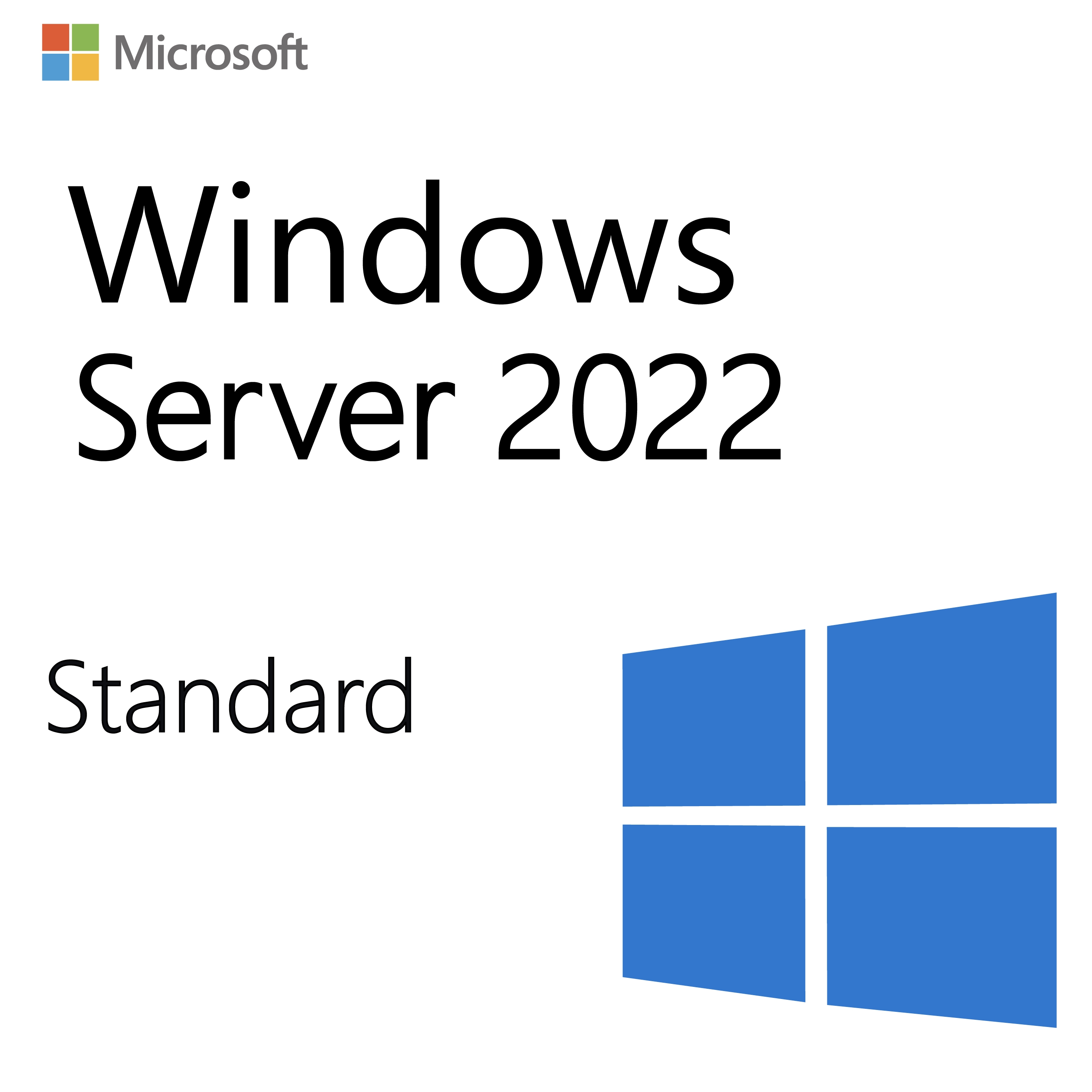 Windows Server 2022 Standard - Lifetime License