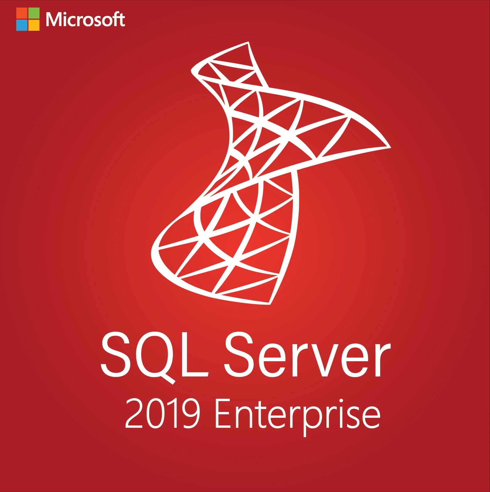 Microsoft SQL Server 2019 Enterprise - License key