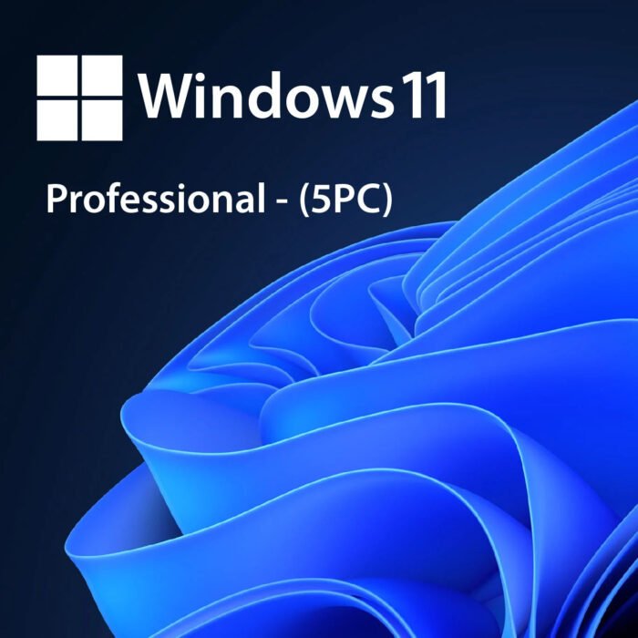 Windows 11 Professional